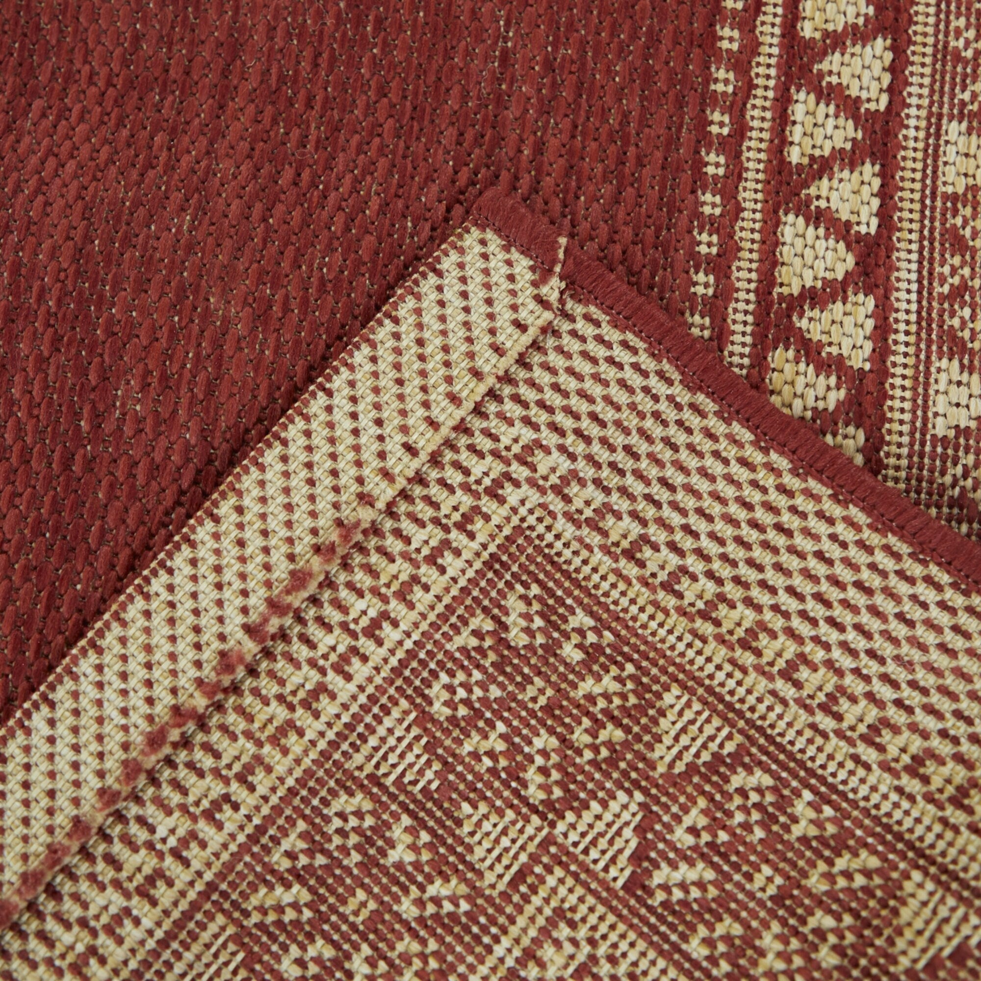 Carew Transitional Border Indoor/Outdoor Area Rug
