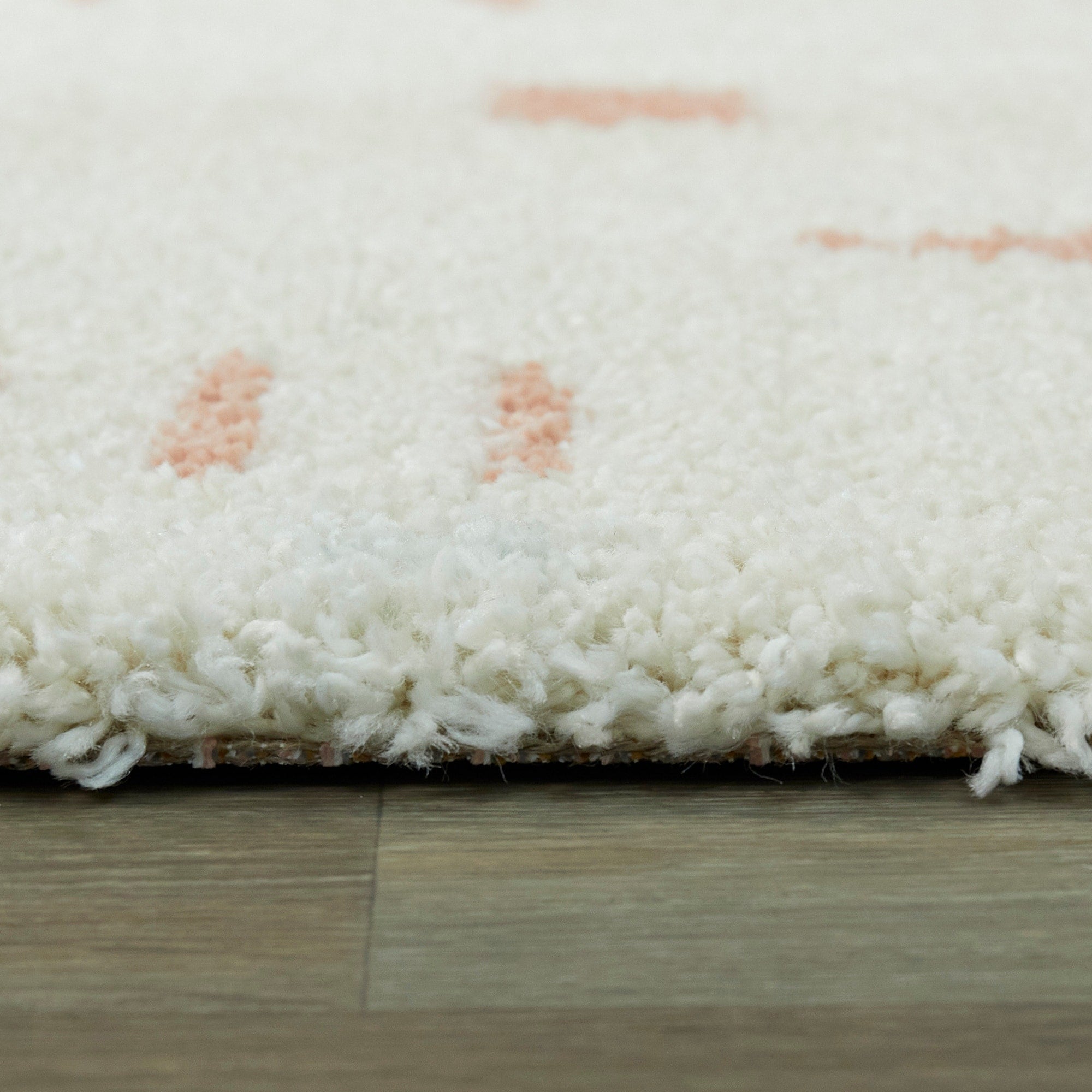 Carson Shag Area Rug