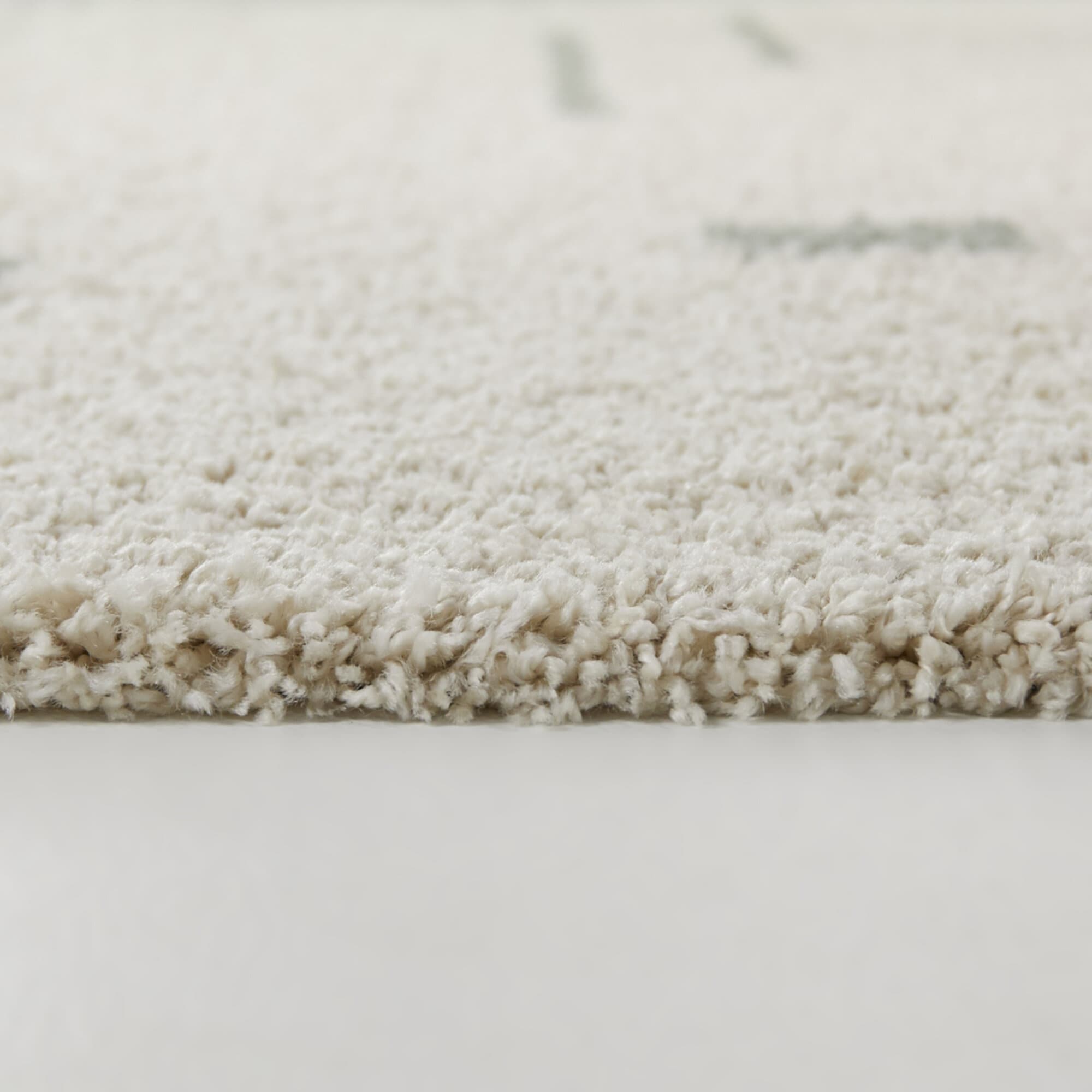 Carson Shag Area Rug