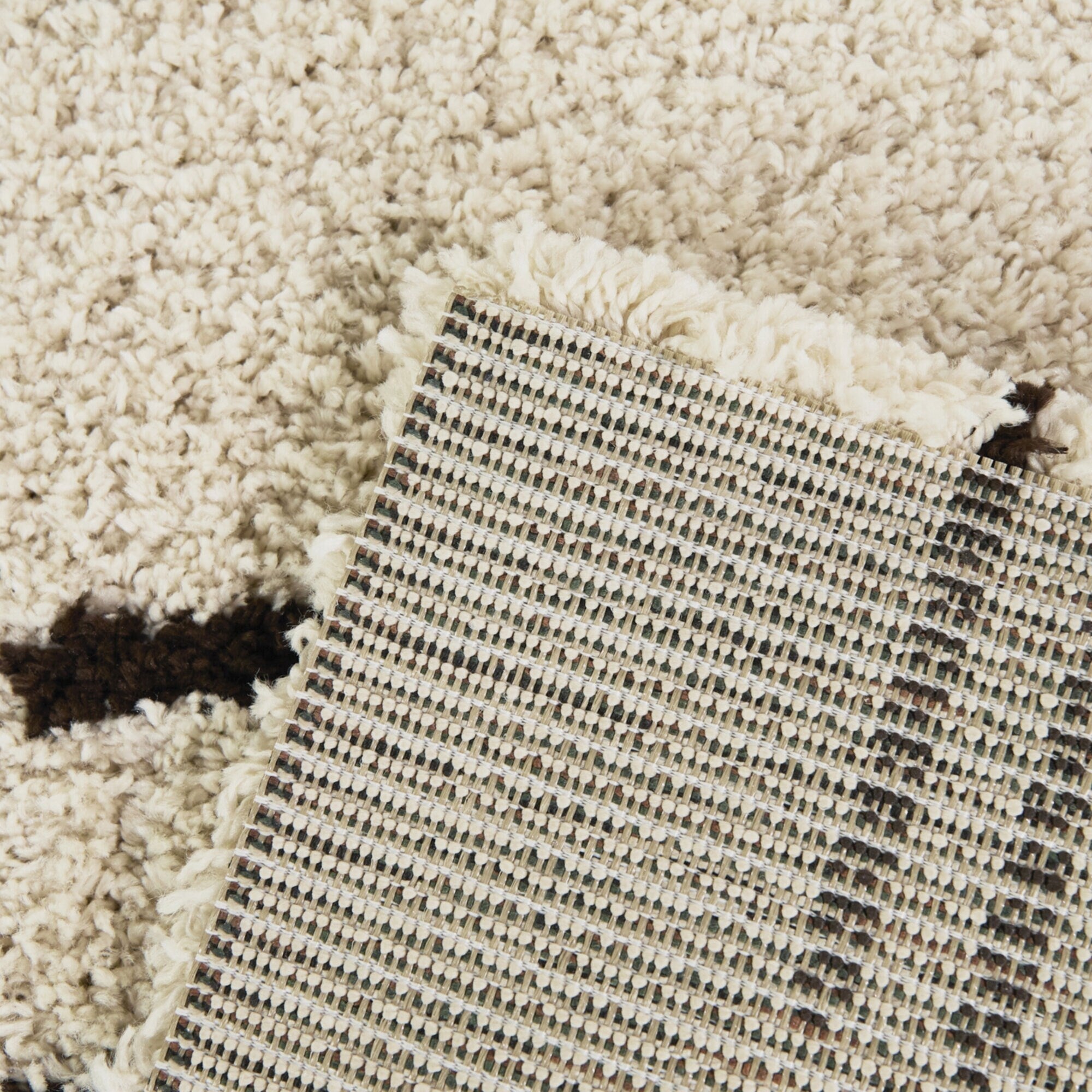 Carson Shag Area Rug