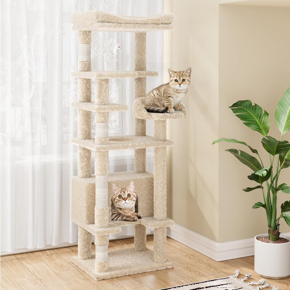 Arbre à chat, tour à chat à plusieurs niveaux avec griffoir
