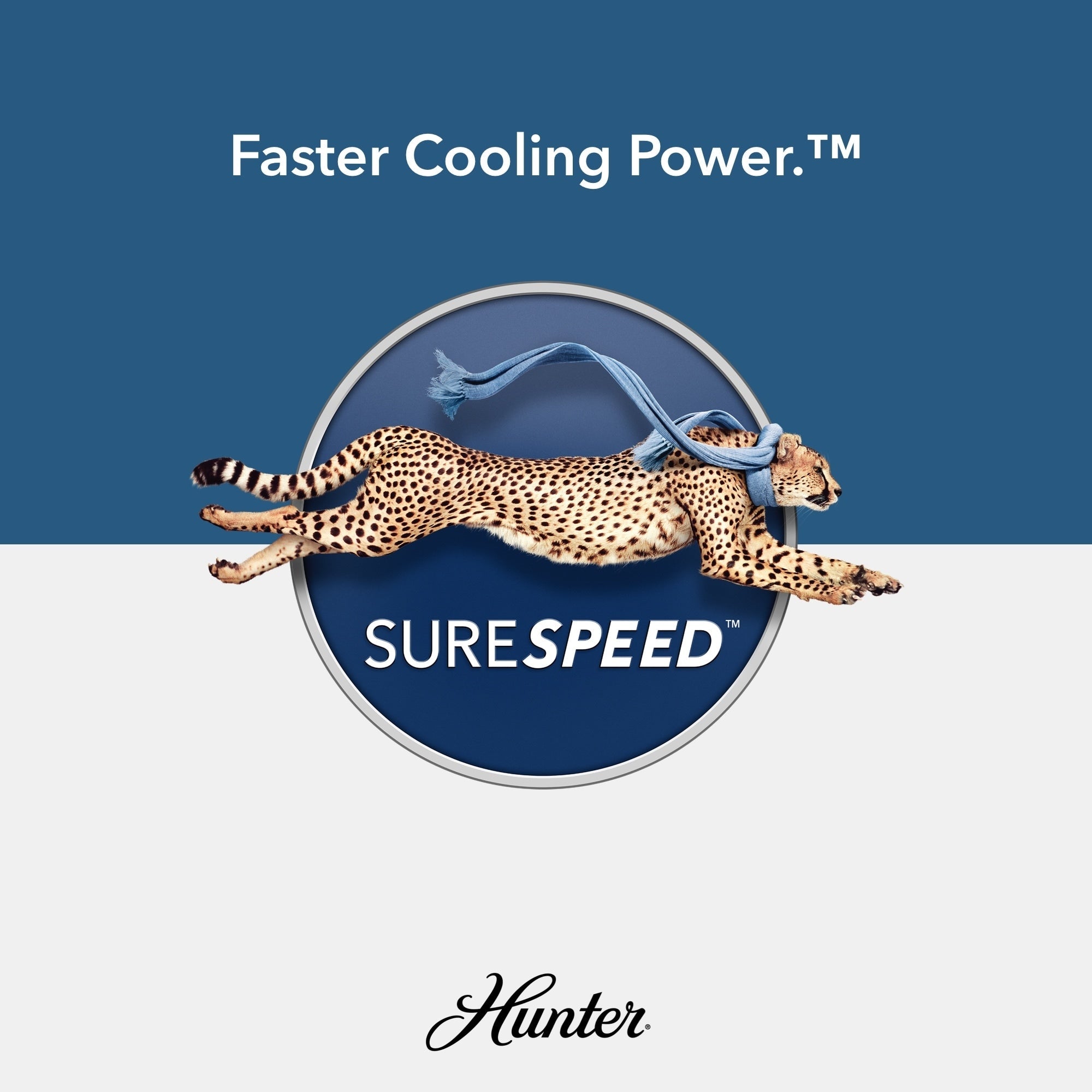 Ventilateur de plafond intérieur/extérieur Hunter 52 Shorebreak WeatherMax avec commande murale - Résistant aux intempéries, au sel et à la corrosion