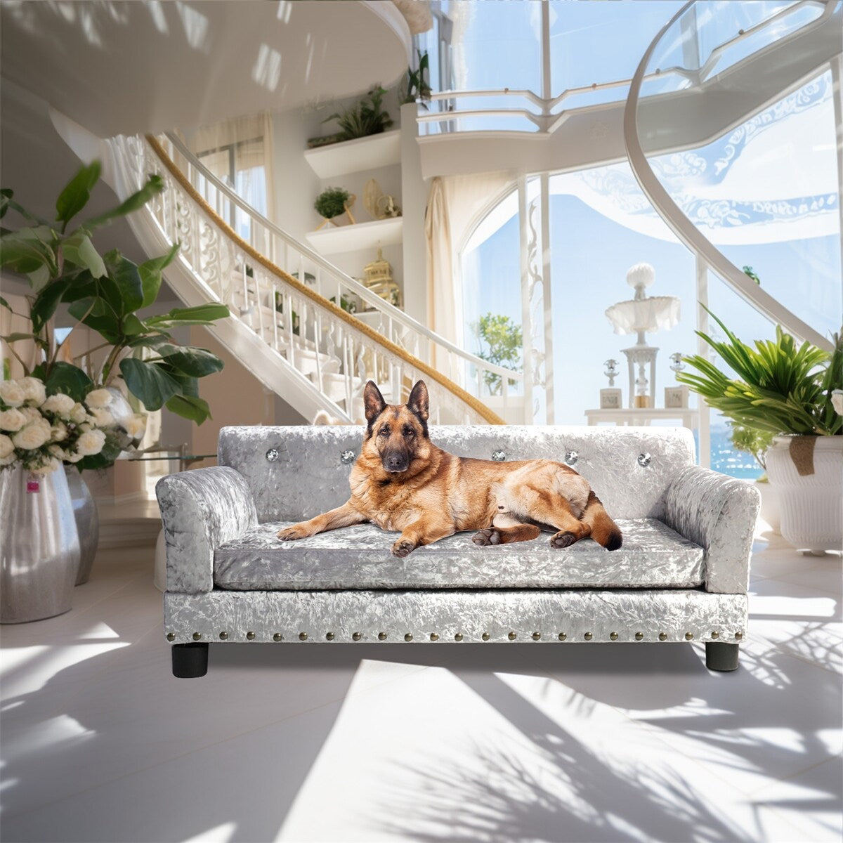 Lit pour animal de compagnie en velours capitonné avec coussin amovible