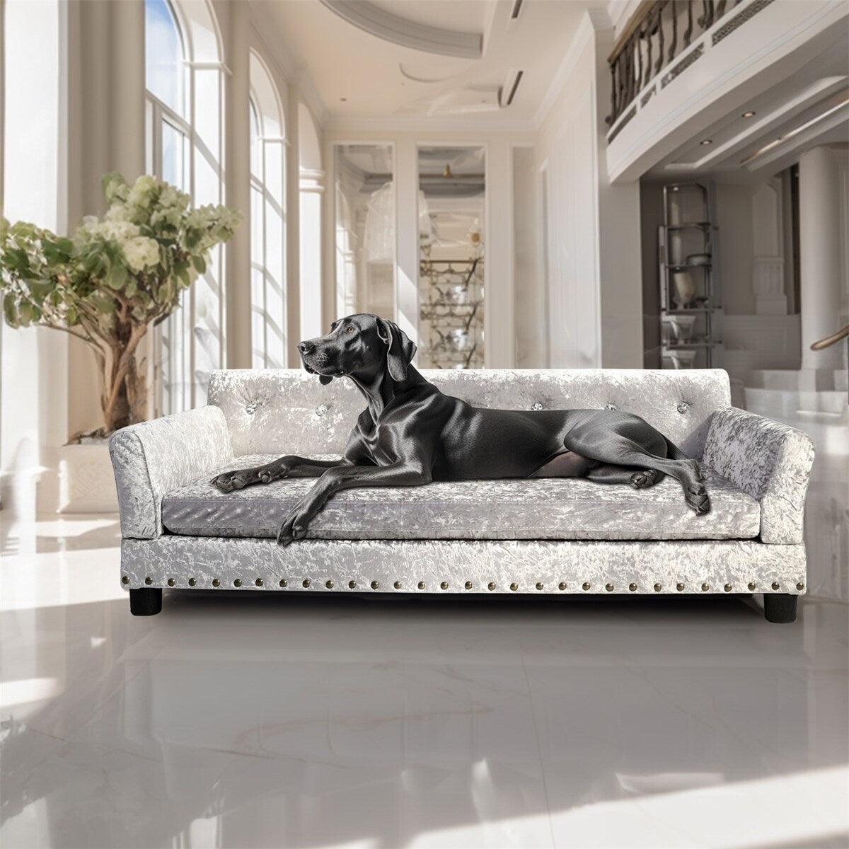 Lit pour animal de compagnie en velours capitonné avec coussin amovible