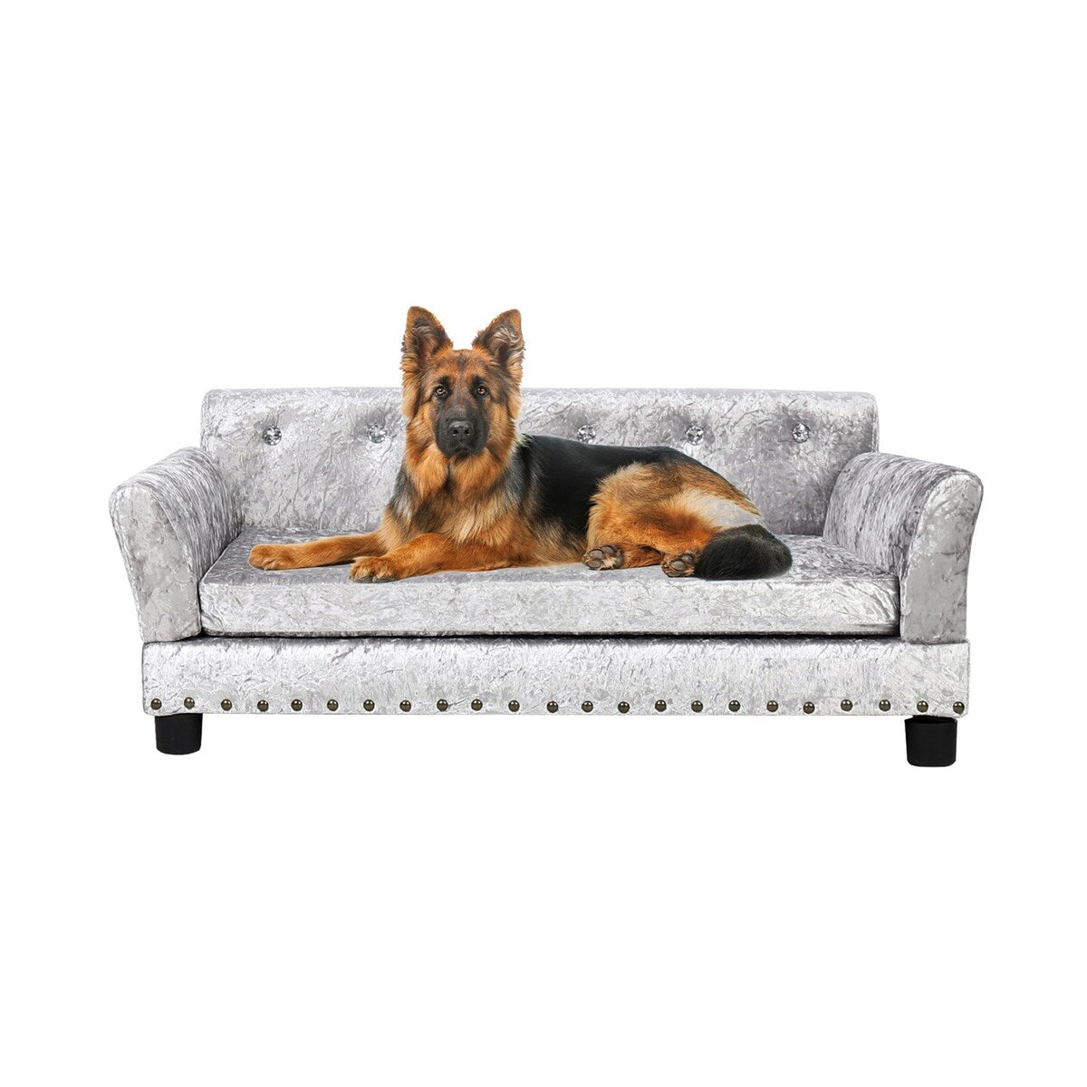 Lit pour animal de compagnie en velours capitonné avec coussin amovible