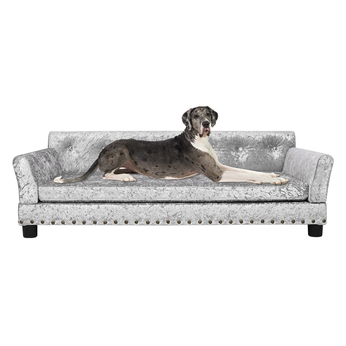 Lit pour animal de compagnie en velours capitonné avec coussin amovible