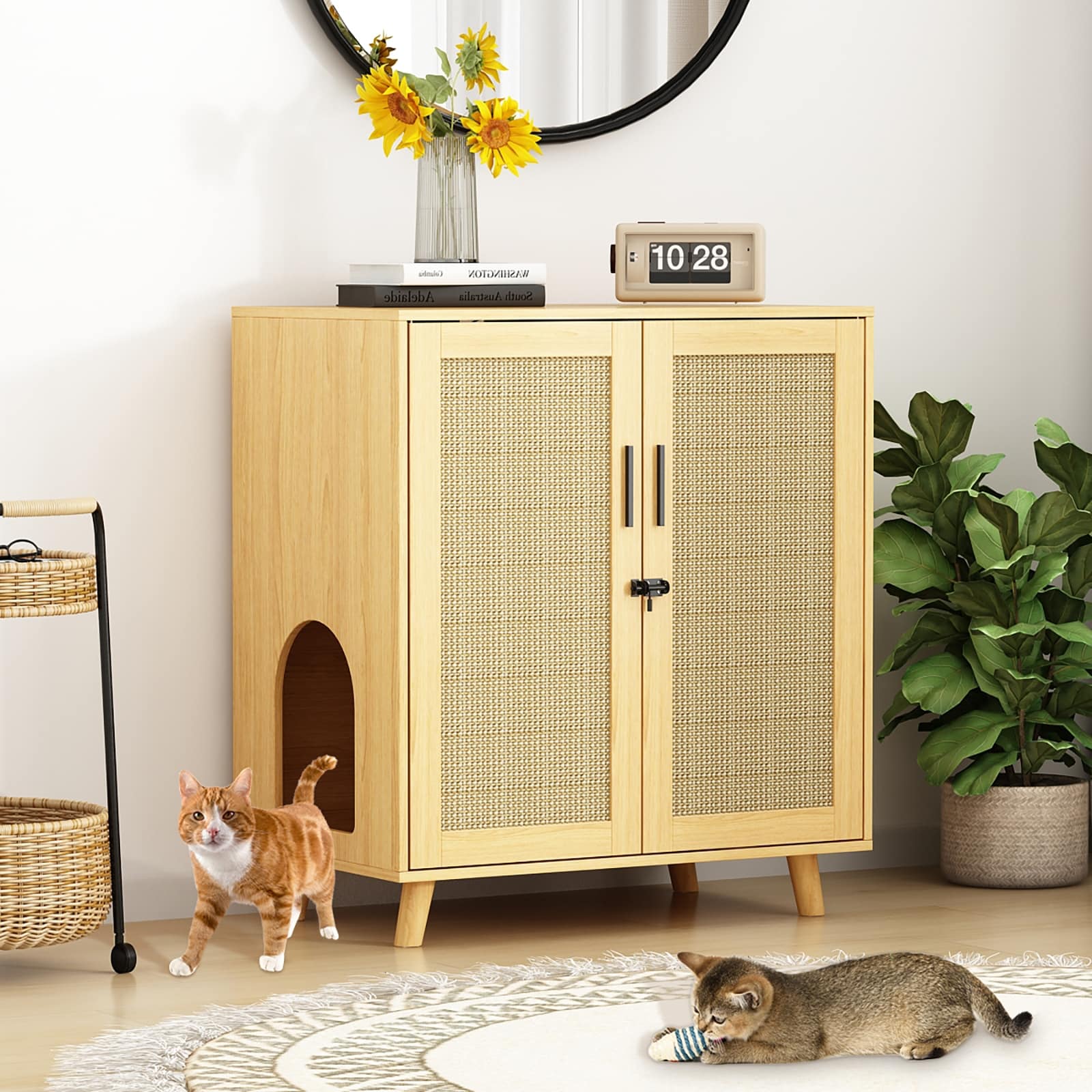 Bac à litière pour chat, maison pour chat, table d'appoint, porte, armoire, bibliothèque