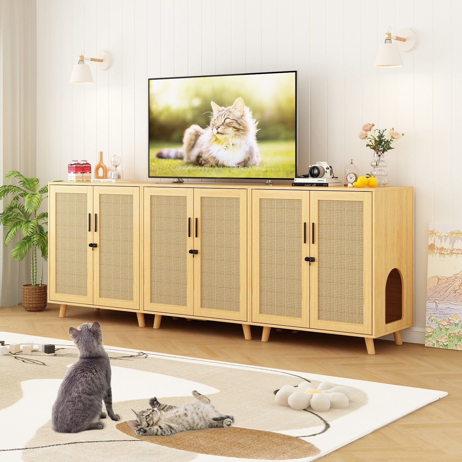 Bac à litière pour chat, maison pour chat, table d'appoint, porte, armoire, bibliothèque