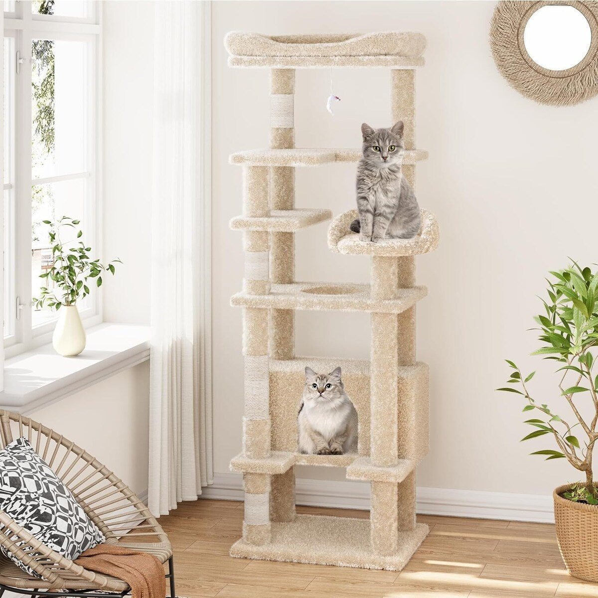 Arbre à chat, tour à chat à plusieurs niveaux avec griffoir